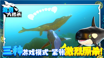 上古卷軸5煉金術代碼如何提升角色能力，助你輕松掌控游戲世界的秘藥配方
